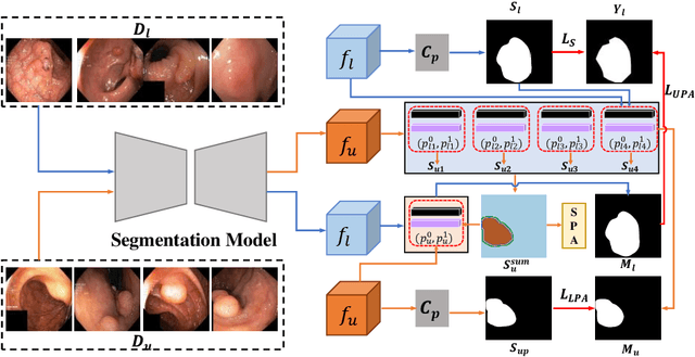Figure 1 for Mutual- and Self- Prototype Alignment for Semi-supervised Medical Image Segmentation