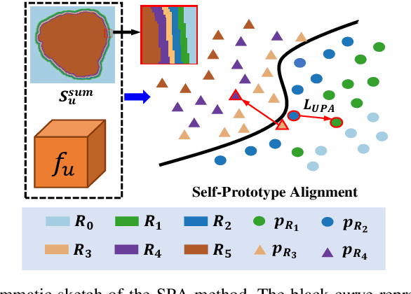 Figure 3 for Mutual- and Self- Prototype Alignment for Semi-supervised Medical Image Segmentation