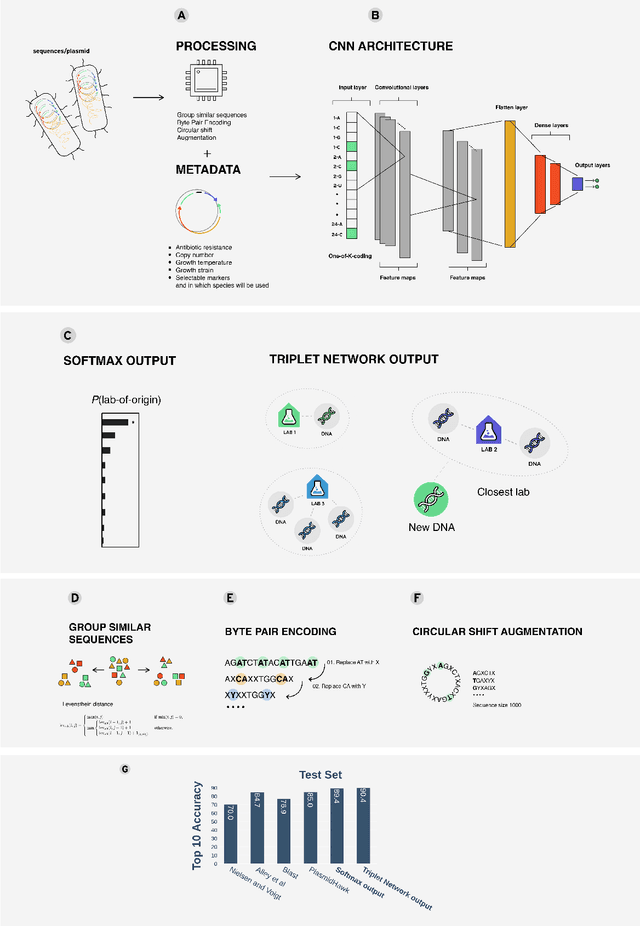 Figure 1 for Deep metric learning improves lab of origin prediction of genetically engineered plasmids