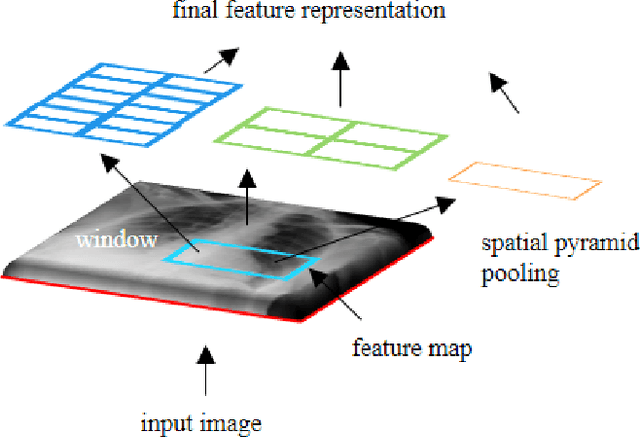Figure 3 for Sparsity-based Convolutional Kernel Network for Unsupervised Medical Image Analysis