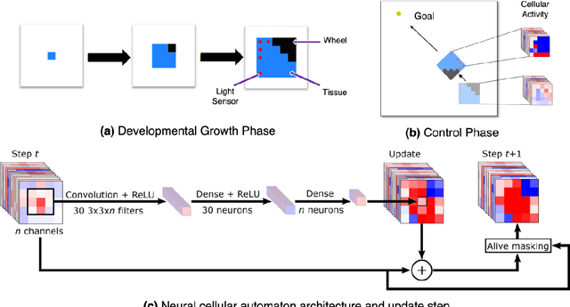 Figure 1 for A Unified Substrate for Body-Brain Co-evolution