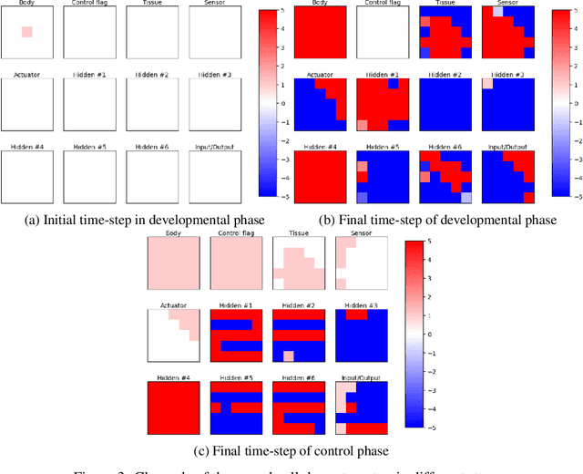 Figure 4 for A Unified Substrate for Body-Brain Co-evolution