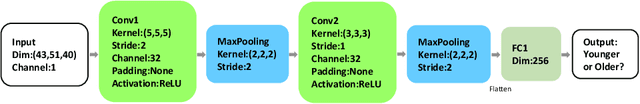 Figure 3 for Interpreting Age Effects of Human Fetal Brain from Spontaneous fMRI using Deep 3D Convolutional Neural Networks