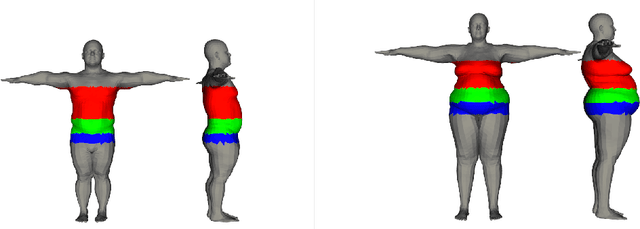 Figure 1 for CALVIS: chest, waist and pelvis circumference from 3D human body meshes as ground truth for deep learning