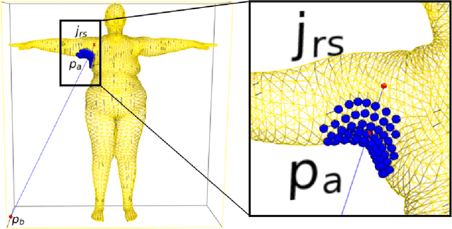 Figure 2 for CALVIS: chest, waist and pelvis circumference from 3D human body meshes as ground truth for deep learning