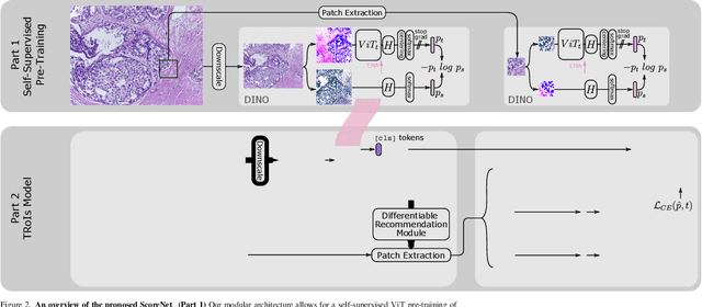 Figure 3 for ScoreNet: Learning Non-Uniform Attention and Augmentation for Transformer-Based Histopathological Image Classification