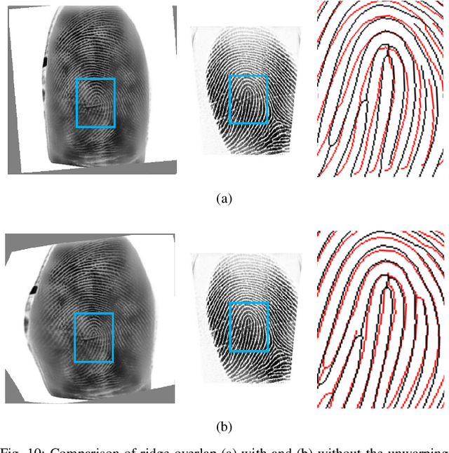 Figure 1 for C2CL: Contact to Contactless Fingerprint Matching