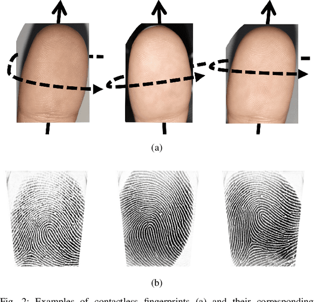 Figure 2 for C2CL: Contact to Contactless Fingerprint Matching