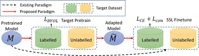 Figure 2 for Revisiting Pretraining for Semi-Supervised Learning in the Low-Label Regime