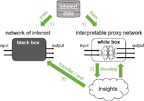 Figure 1 for Patch Shortcuts: Interpretable Proxy Models Efficiently Find Black-Box Vulnerabilities