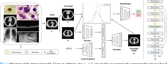 Figure 1 for Generative Adversarial U-Net for Domain-free Medical Image Augmentation