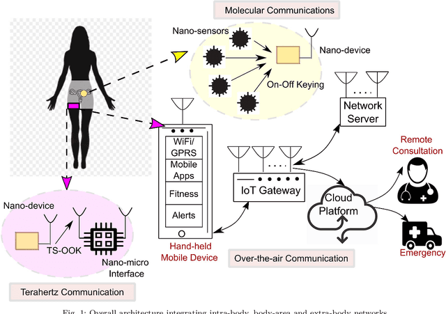 Figure 1 for A Nano-Architecture for Fertility Monitoring via Intra-body Communication