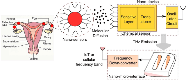 Figure 2 for A Nano-Architecture for Fertility Monitoring via Intra-body Communication