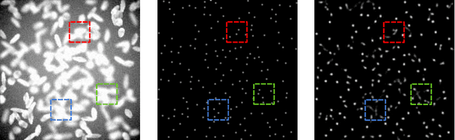 Figure 1 for Improved Counting and Localization from Density Maps for Object Detection in 2D and 3D Microscopy Imaging