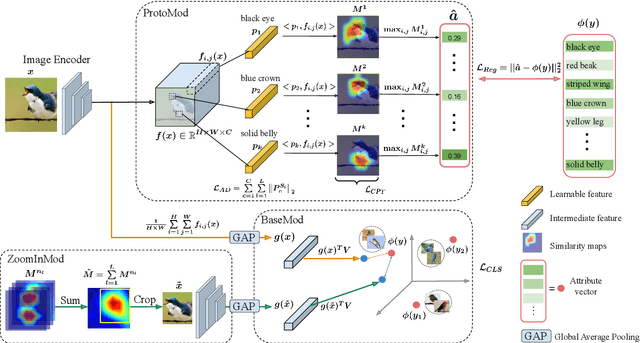 Figure 1 for Attribute Prototype Network for Any-Shot Learning