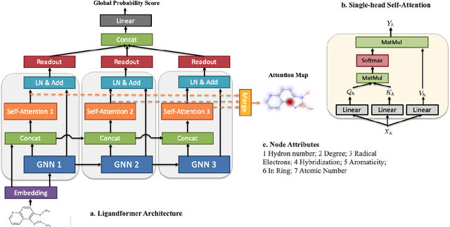 Figure 1 for Ligandformer: A Graph Neural Network for Predicting Compound Property with Robust Interpretation