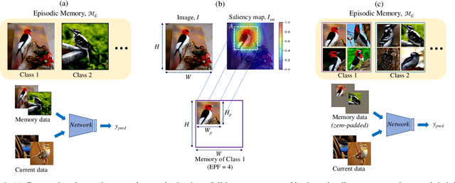 Figure 1 for Saliency Guided Experience Packing for Replay in Continual Learning
