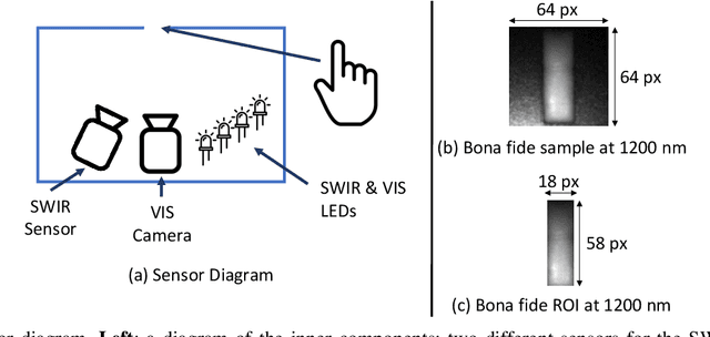 Figure 2 for Biometric Presentation Attack Detection: Beyond the Visible Spectrum