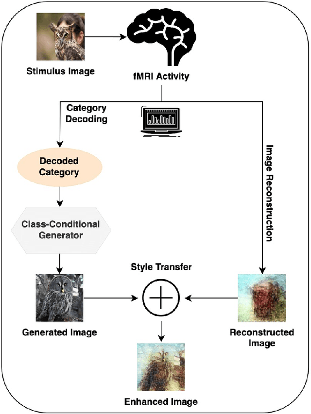Figure 1 for Multiscale Voxel Based Decoding For Enhanced Natural Image Reconstruction From Brain Activity