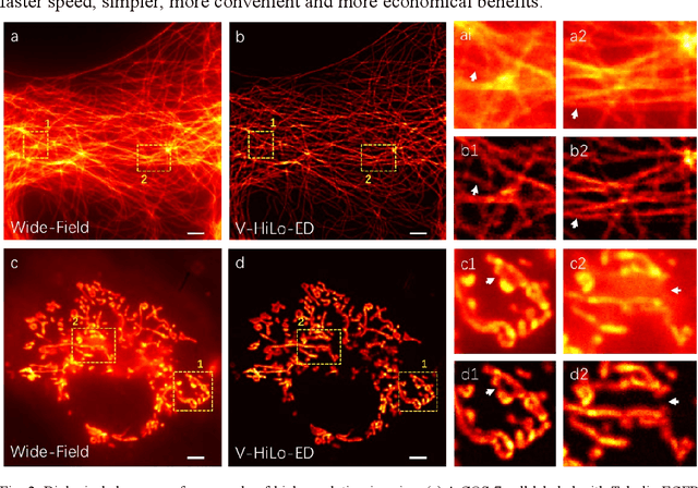 Figure 2 for Single-shot wide-field optical section imaging