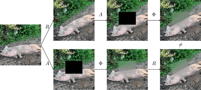 Figure 2 for Equivariant neural networks for inverse problems