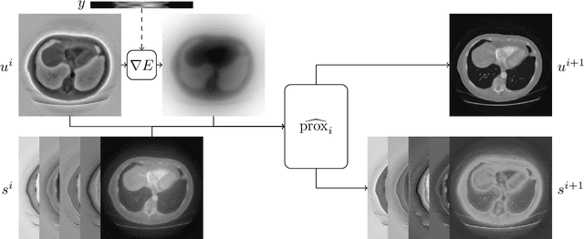 Figure 3 for Equivariant neural networks for inverse problems