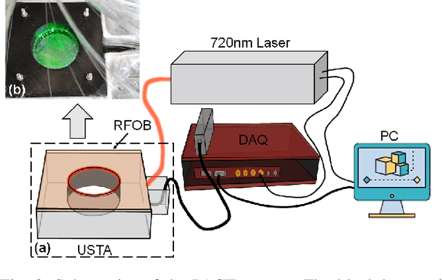 Figure 3 for Compressed Sensing for Photoacoustic Computed Tomography Using an Untrained Neural Network
