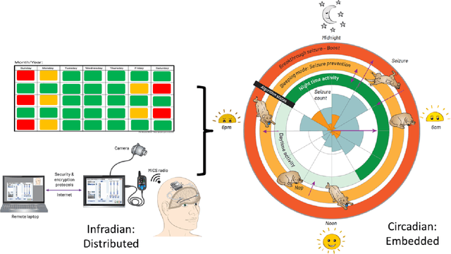 Figure 4 for Embedding digital chronotherapy into medical devices -- A canine case study in controlling status epilepticus through multi-scale rhythmic brain stimulation
