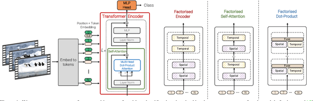 Figure 1 for ViViT: A Video Vision Transformer