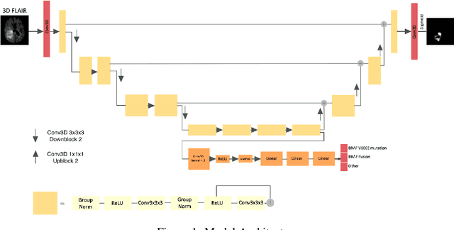 Figure 1 for Improving the Segmentation of Pediatric Low-Grade Gliomas through Multitask Learning