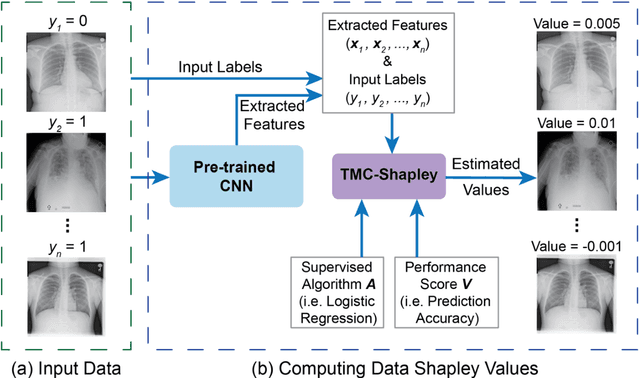 Figure 1 for Data Valuation for Medical Imaging Using Shapley Value: Application on A Large-scale Chest X-ray Dataset