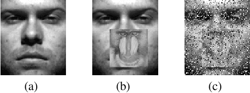 Figure 3 for A Unified Weight Learning and Low-Rank Regression Model for Robust Face Recognition