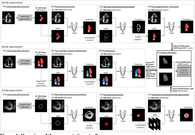 Figure 2 for Label-free segmentation from cardiac ultrasound using self-supervised learning
