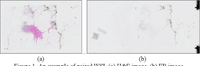 Figure 1 for A Two Step Approach for Whole Slide Image Registration