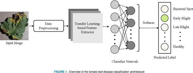 Figure 1 for Less is More: Lighter and Faster Deep Neural Architecture for Tomato Leaf Disease Classification