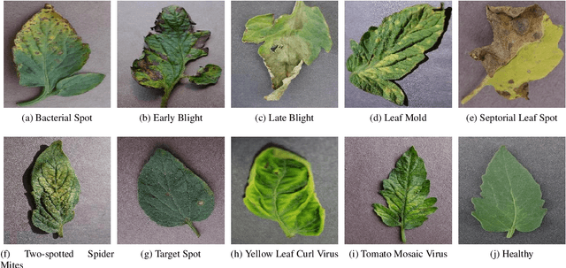 Figure 3 for Less is More: Lighter and Faster Deep Neural Architecture for Tomato Leaf Disease Classification