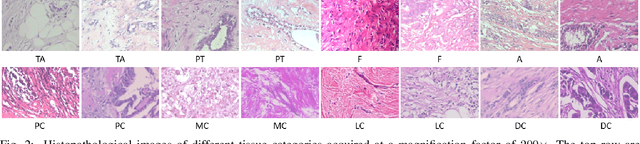 Figure 3 for Magnification-independent Histopathological Image Classification with Similarity-based Multi-scale Embeddings