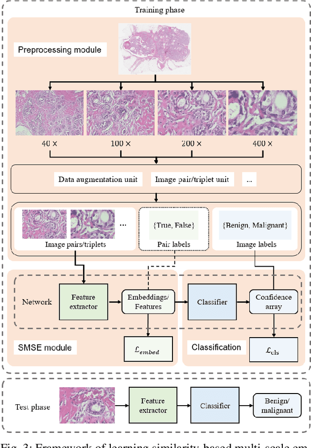 Figure 4 for Magnification-independent Histopathological Image Classification with Similarity-based Multi-scale Embeddings
