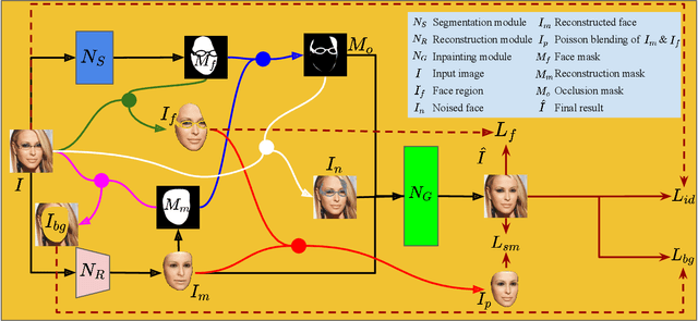 Figure 3 for Segmentation-Reconstruction-Guided Facial Image De-occlusion