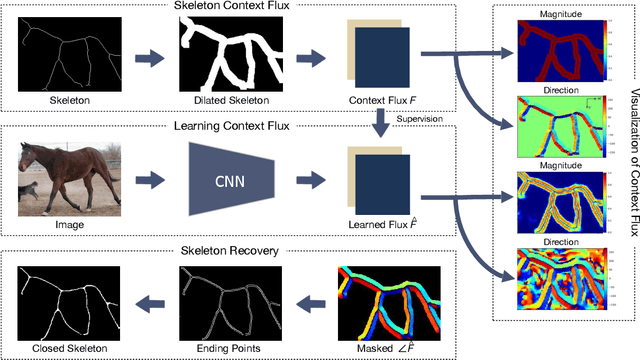 Figure 3 for DeepFlux for Skeletons in the Wild