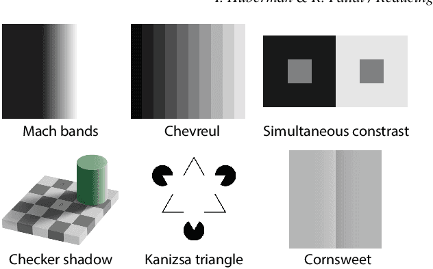 Figure 2 for Reducing Lateral Visual Biases in Displays