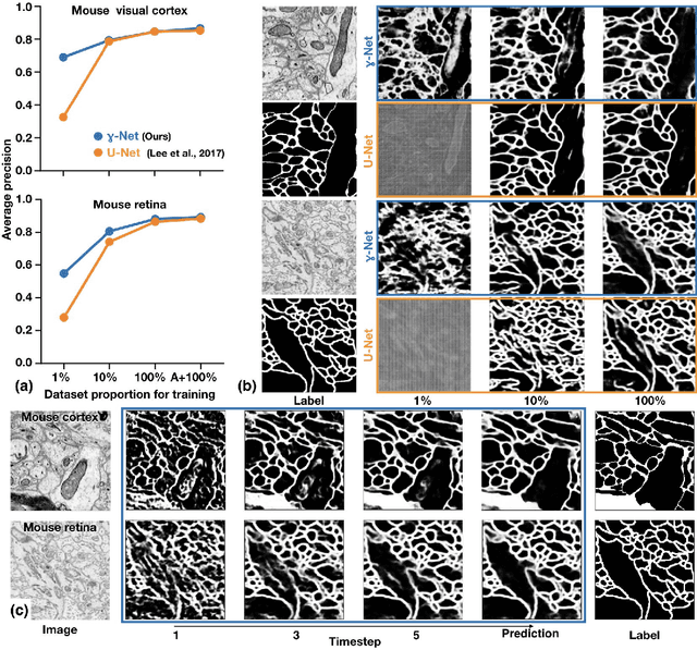 Figure 2 for Robust neural circuit reconstruction from serial electron microscopy with convolutional recurrent networks