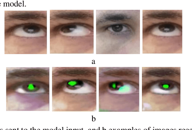 Figure 4 for Cycle-GAN for eye-tracking