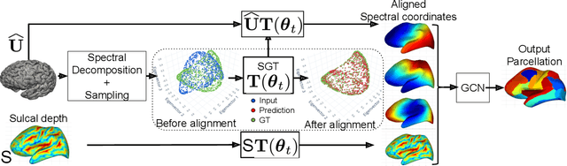 Figure 1 for Spectral Graph Transformer Networks for Brain Surface Parcellation