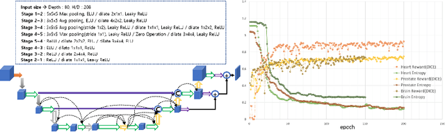 Figure 4 for Resource Optimized Neural Architecture Search for 3D Medical Image Segmentation