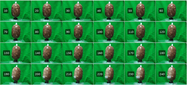 Figure 4 for Automatic Surface Area and Volume Prediction on Ellipsoidal Ham using Deep Learning