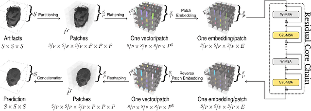 Figure 1 for Wide Range MRI Artifact Removal with Transformers