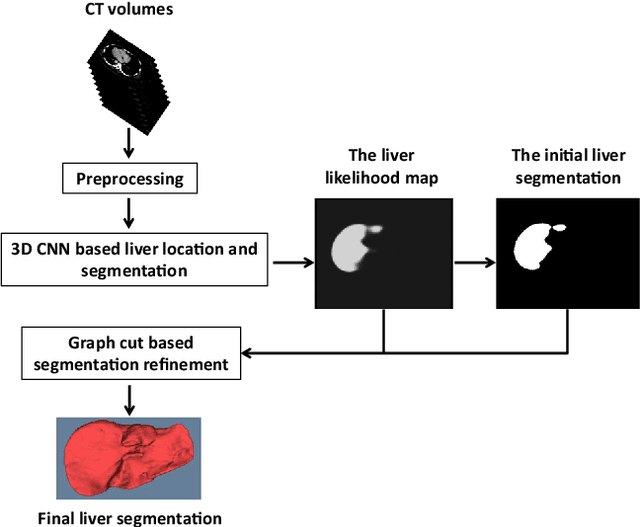 Figure 3 for Automatic 3D liver location and segmentation via convolutional neural networks and graph cut