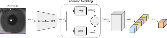 Figure 1 for Attention-Guided Network for Iris Presentation Attack Detection