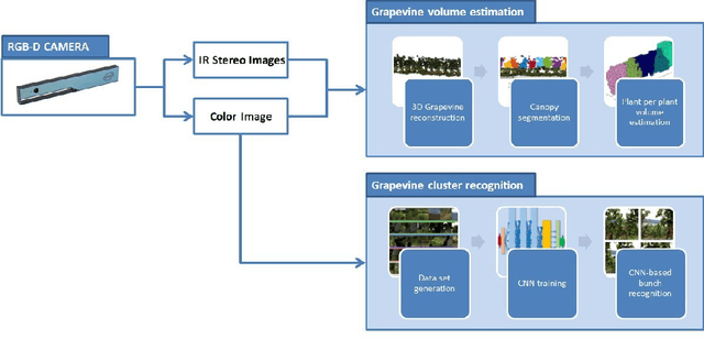 Figure 1 for In-field high throughput grapevine phenotyping with a consumer-grade depth camera